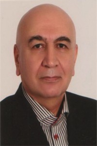 مدیر عامل شرکت Iran Software & Hardware Co